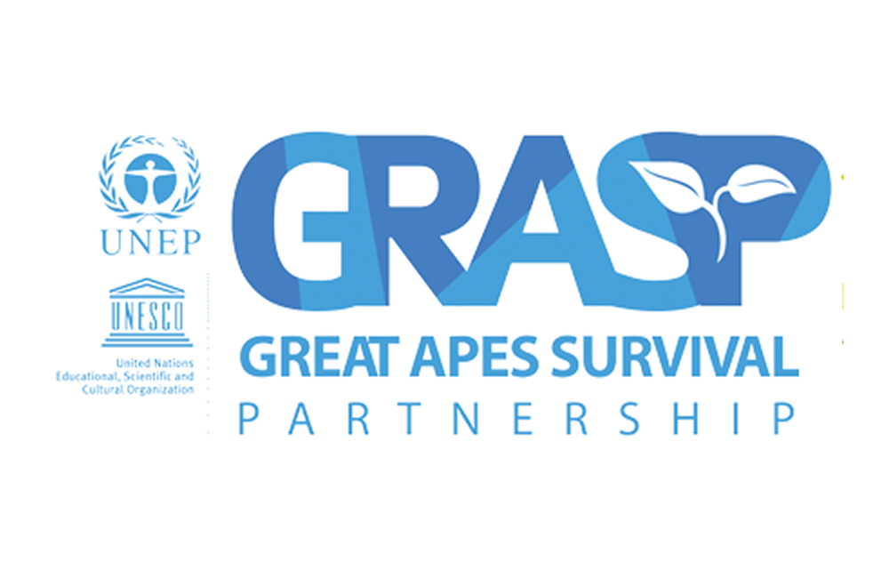The UNEP/UNESCO Great Ape Survival Partnership
